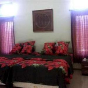 Green Hotel